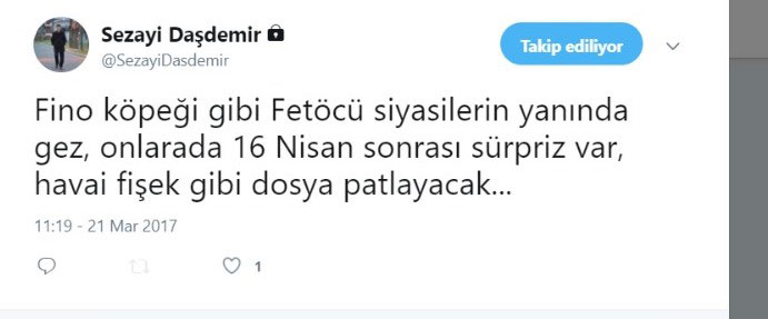 sezayi dasdemir fino kopegi